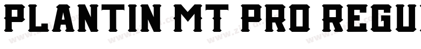 Plantin MT Pro Regul字体转换